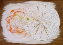 089ccac58d88f19794b3ad8efb1baa51