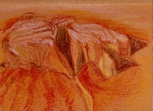 4e31a4251ae48411ff0c215aa19b376e