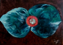 77921823e505e872b0fc6ec3b7dbf184