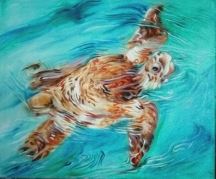 7ce08b57ae7ccfaad123c472593bc752