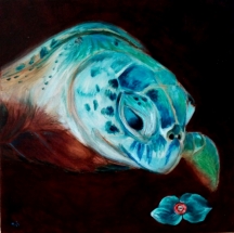 81a3907aa8ad46a39abffe38eb80aeb0