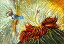 92769454c64ea18c09bcb3b17af3e23d