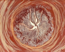 961779f82ef5f7f749c661669b93f413