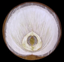 adca2798893becf244cd0a641b0926b3