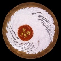 ce77f8d0c496642c3c217069751e024f