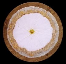 e59b92ec3cd5ec861e37eaa6547818d2